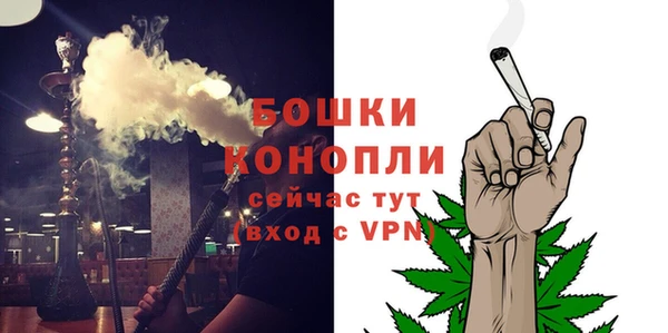 стафф Зеленокумск