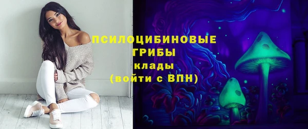 стафф Зеленокумск
