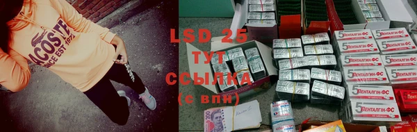 стафф Зеленокумск