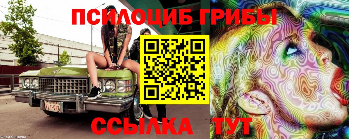 Галлюциногенные грибы Cubensis Южноуральск